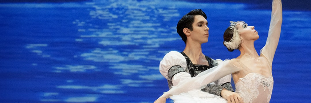 Untitled design (50)